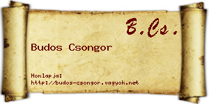 Budos Csongor névjegykártya